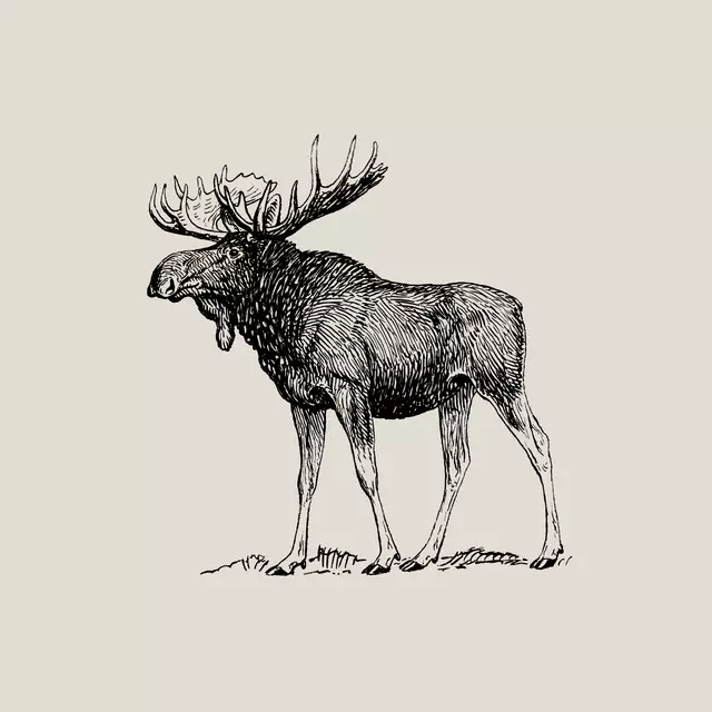 Vintage Holidays Moose 1 beige