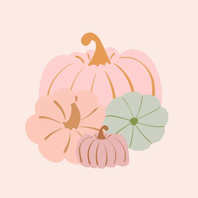 Kürbisse Herbst Pastel Rosa