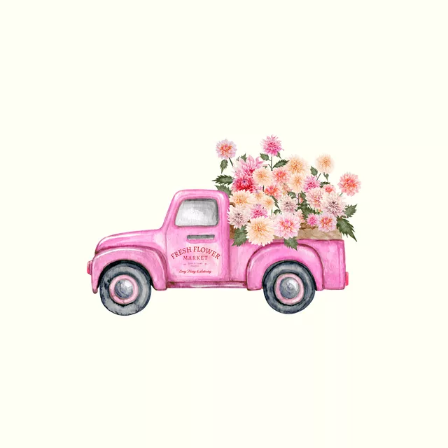 Kissen Blumen Laster Pink Dahlien