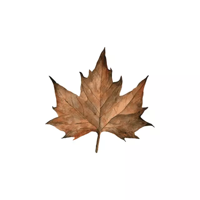 Tischdecke Ahorn Blatt Aquarell