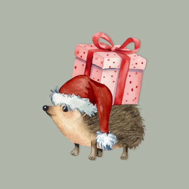 Weihnachten Igel mit Geschenk