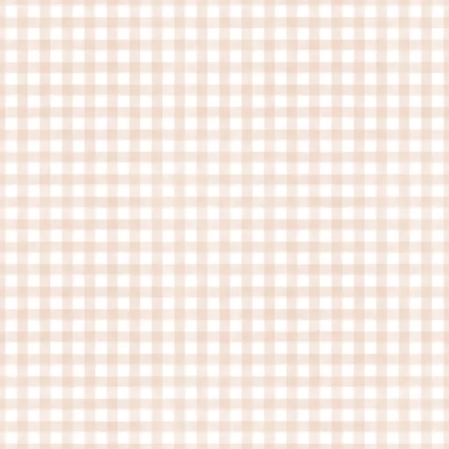 Geschirrtücher Vichy Karo Gingham Beige