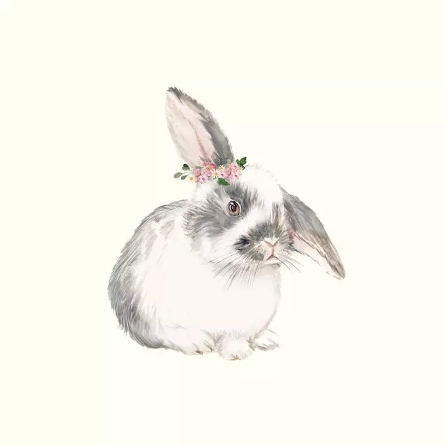 Geschirrtücher Hase mit Blumenkranz Schlappi