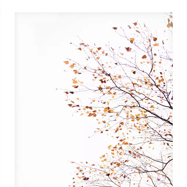 Servietten Blätter im Herbst 2