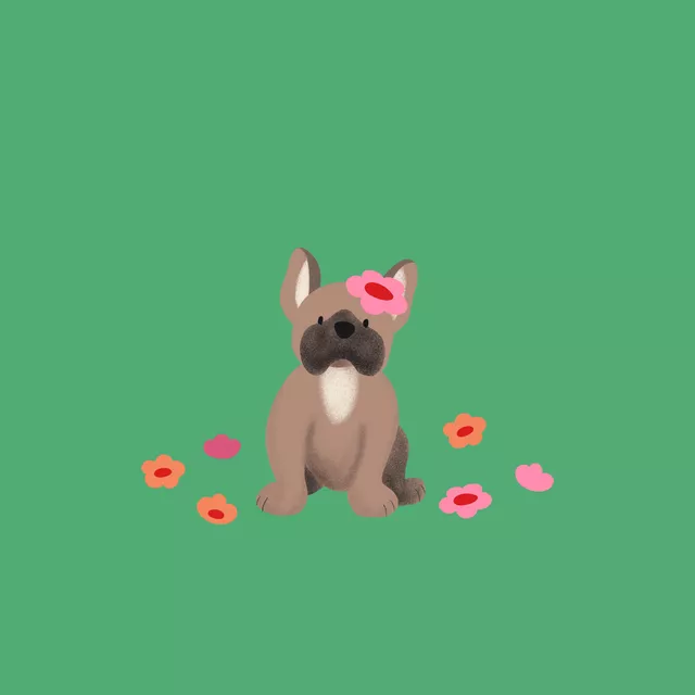 Kissen Französische Bulldogge