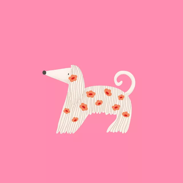 Kissen Afghanischer Windhund