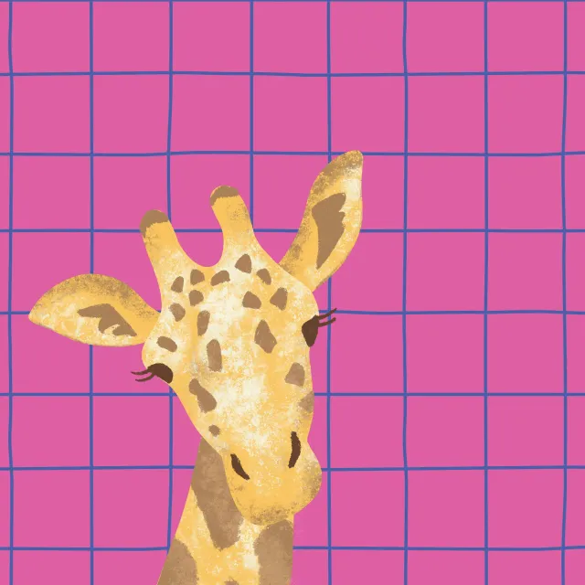 Geschirrtücher Tierisch Bunt Giraffe pink