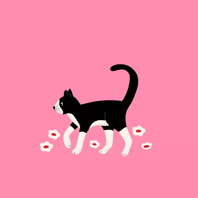 Kissen Frühlingspfoten Schwarze Katze