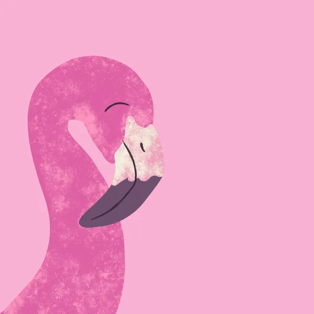 Geschirrtücher Rosa