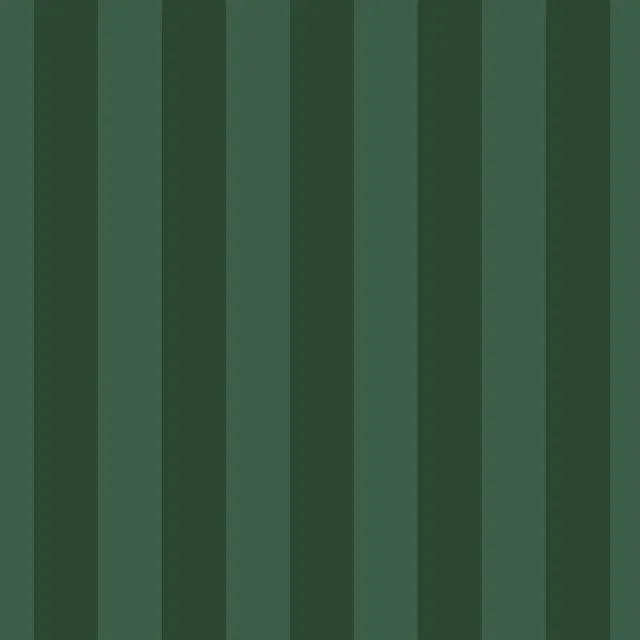 Geschirrtücher Santa's Stripes grün