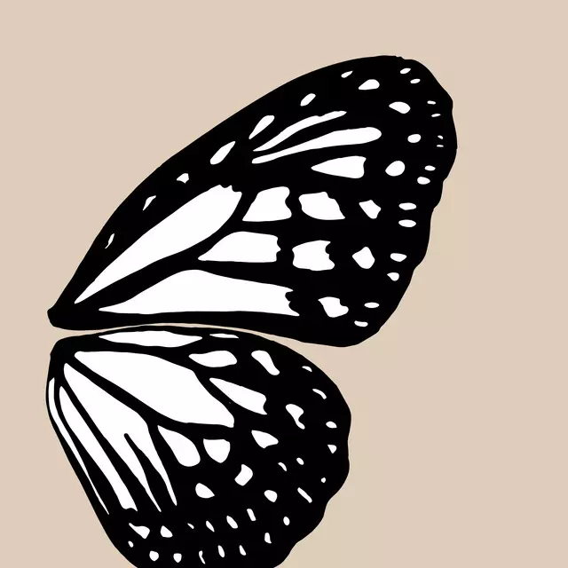 Geschirrtücher Butterfly Wing