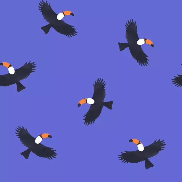 Toucan Pattern