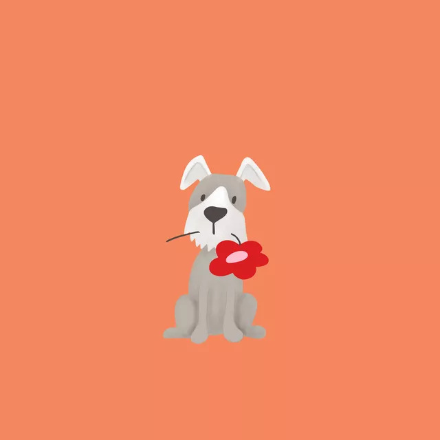 Kissen Frühlingspfoten Schnauzer