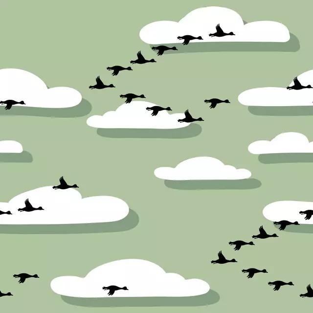 Bettwäsche Bird Flight