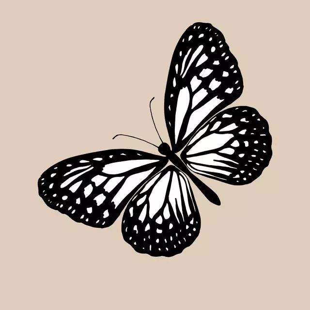 Geschirrtücher Butterfly