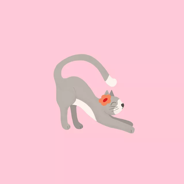 Kissen Frühlingspfoten Graue Katze
