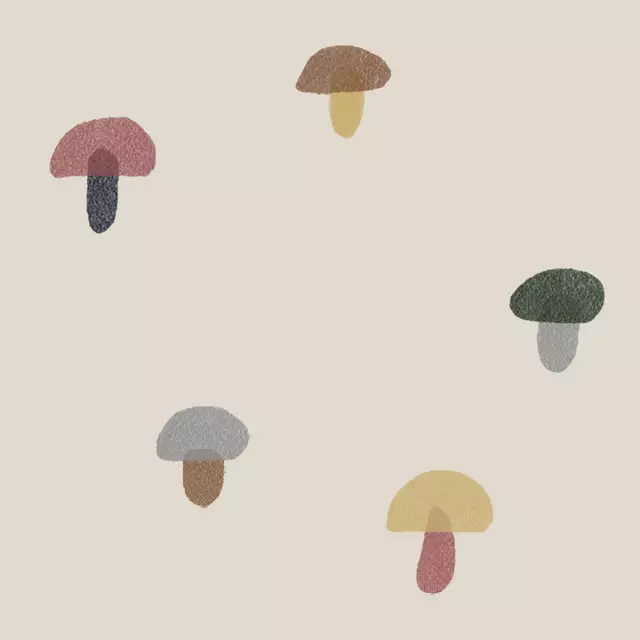 Pilze bunt