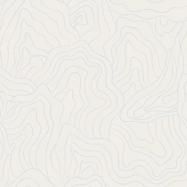 Sea Forms Light