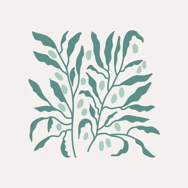 Tischset Jardin Olives