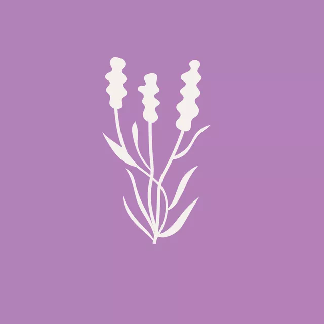 Kissen Jardin Lavende violet