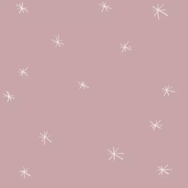 Sterne rosa weiss