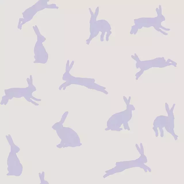 Geschirrtücher Hase Hase Lila