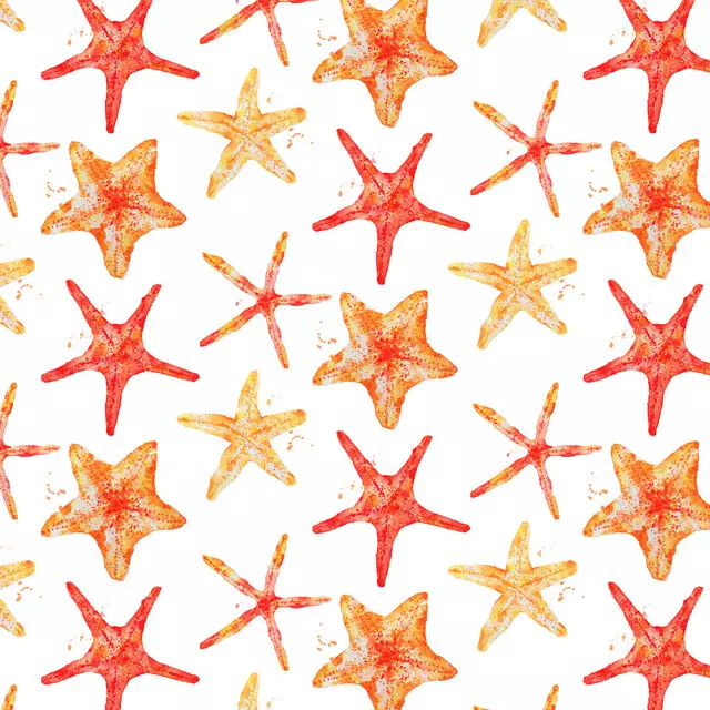 Servietten Starfish