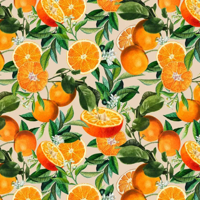 Kissen Orangen Sommer beige