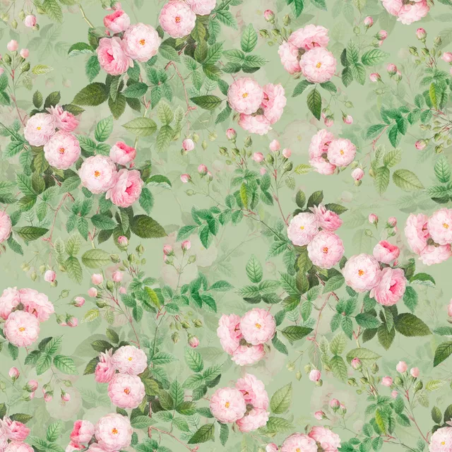 Rambler Rosen Garten