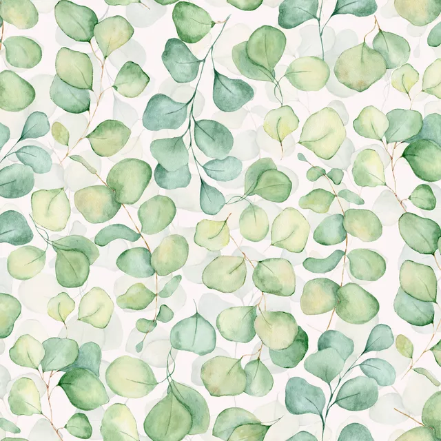 Kissen Eucalyptus Blätter