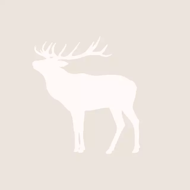 Kissen Vintage Hirsch