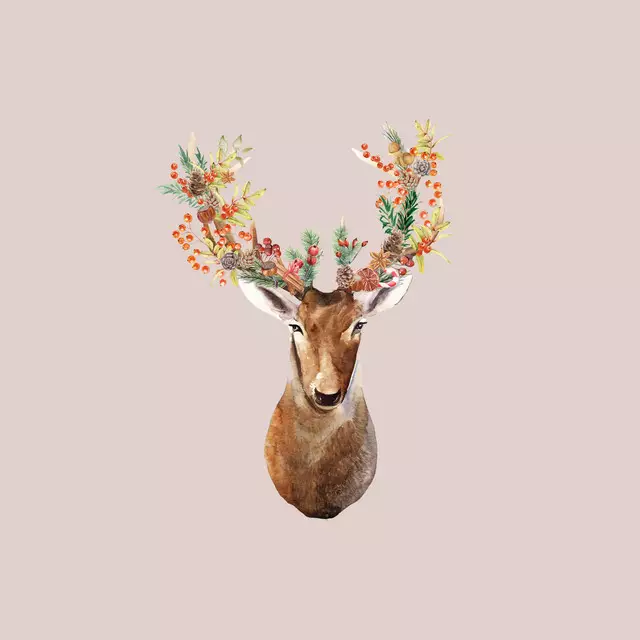 Weihnachts Hirsch Blush