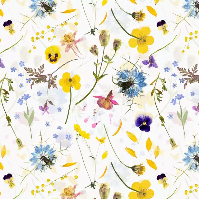 Tischdecke Mittsommer Streublumen Wiese