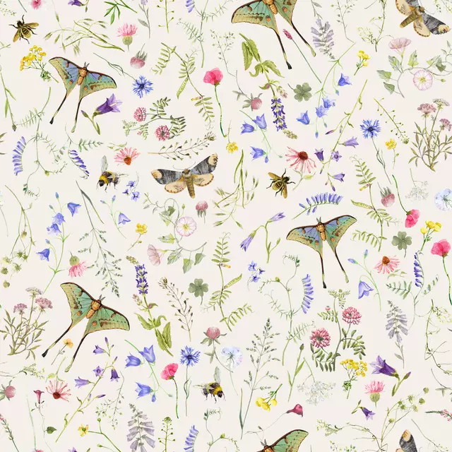 Vintage Wildblumen Und Motten