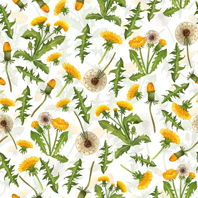 Servietten Löwenzahn und Pusteblume