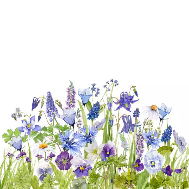 Kissen Skandinavische Wildblumen