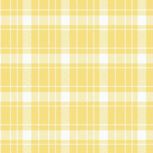 Summer Gingham Checks