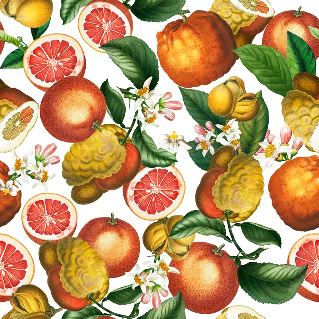 Orangen Cocktail