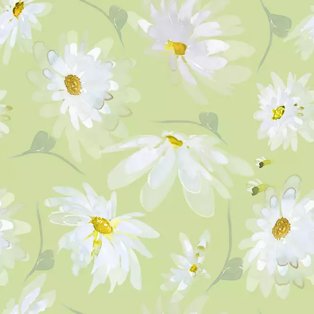Wasserfarben Margeriten