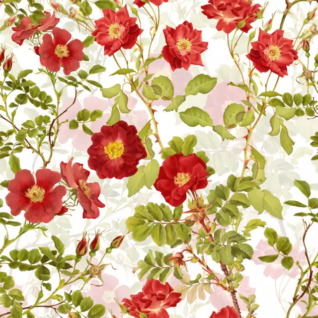 Rote Vintage Wildrosen