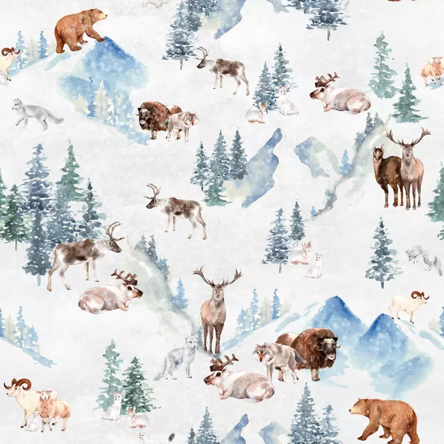 Winter Wunderland 1