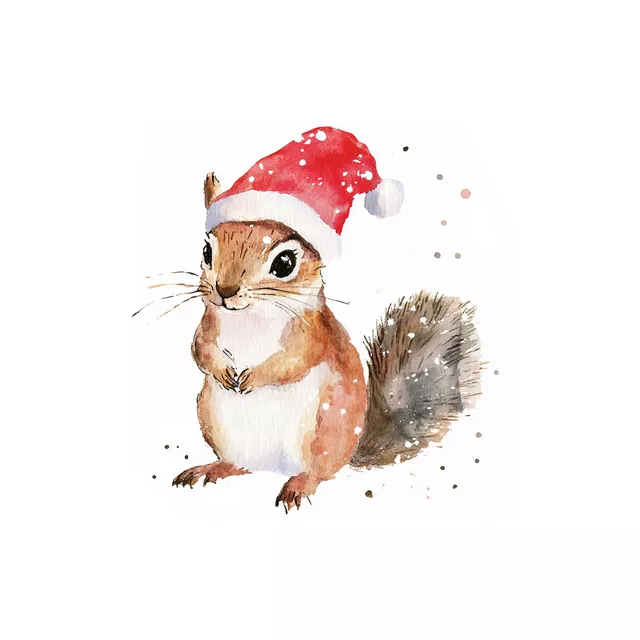 Kissen Weihnachtsmann Eichhörnchen
