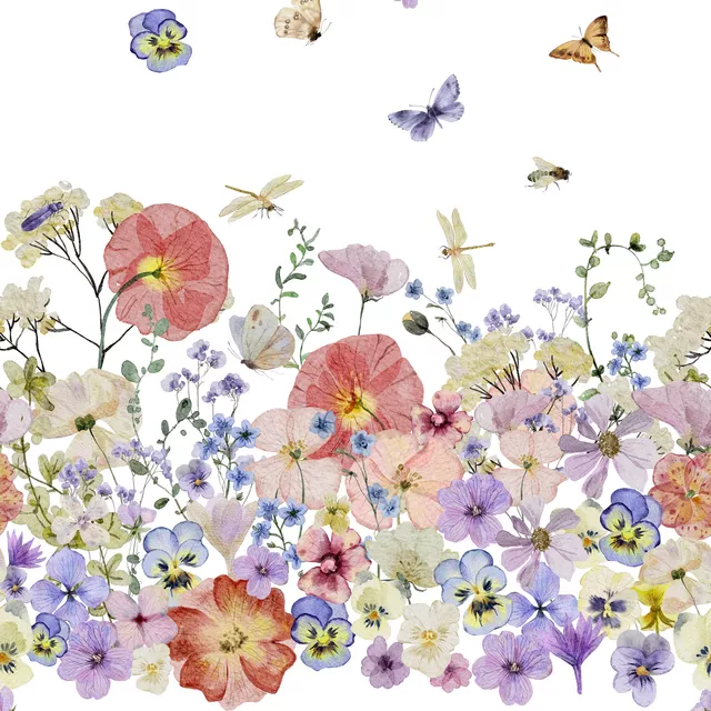 Bodenkissen Wildeste Wildblumen Wiese
