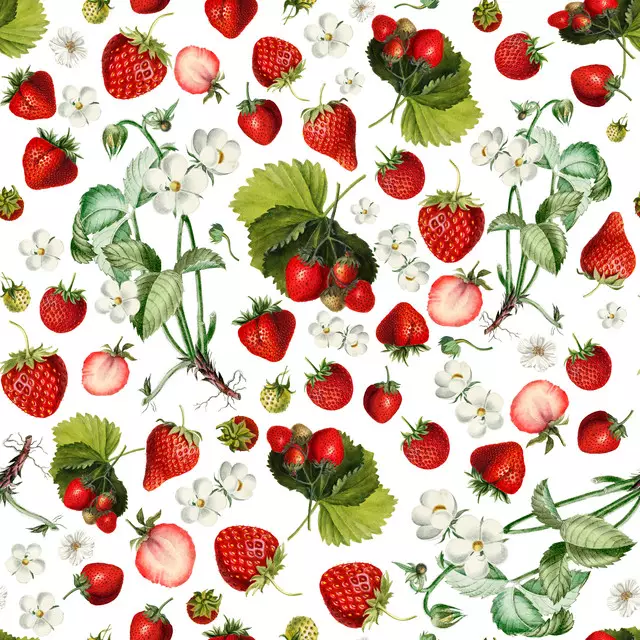 Vintage Erdbeeren