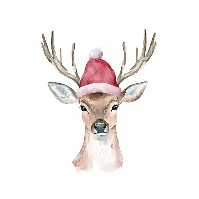 Kissen Weihnachtsmann Hirsch