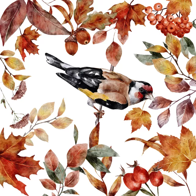 Kissen Goldener Herbst Stieglitz