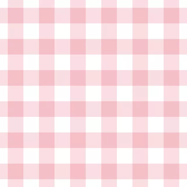 Rosa Weiß Gingham Grid 3