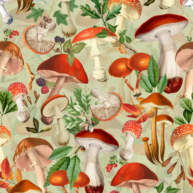Pilz Tanz 1