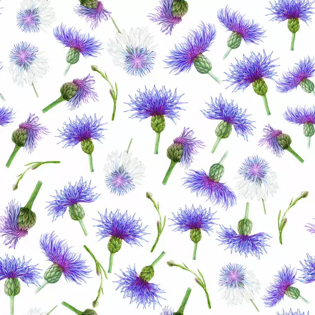Tischset Kornblumen