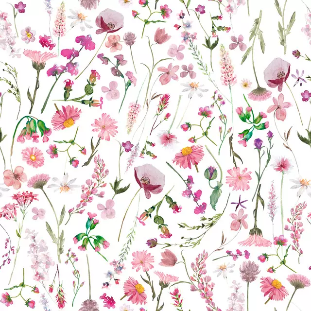 Rosa Wildblumen Wiese